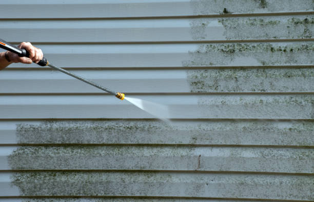 Best Post-Flood Mold Remediation in Claryville, KY