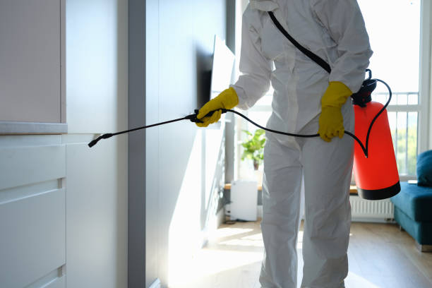 Best Industrial Mold Remediation in Claryville, KY